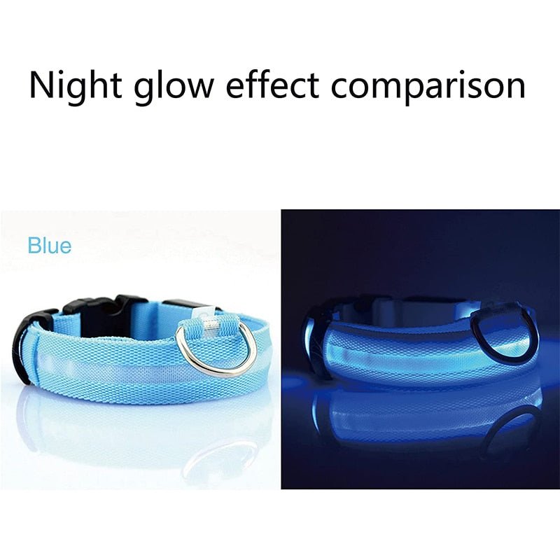 LED Rechargeable Adjustable Night Light Waterproof Glowing Dog Collars - Annie Paw Wear用品AnniePaw Wear