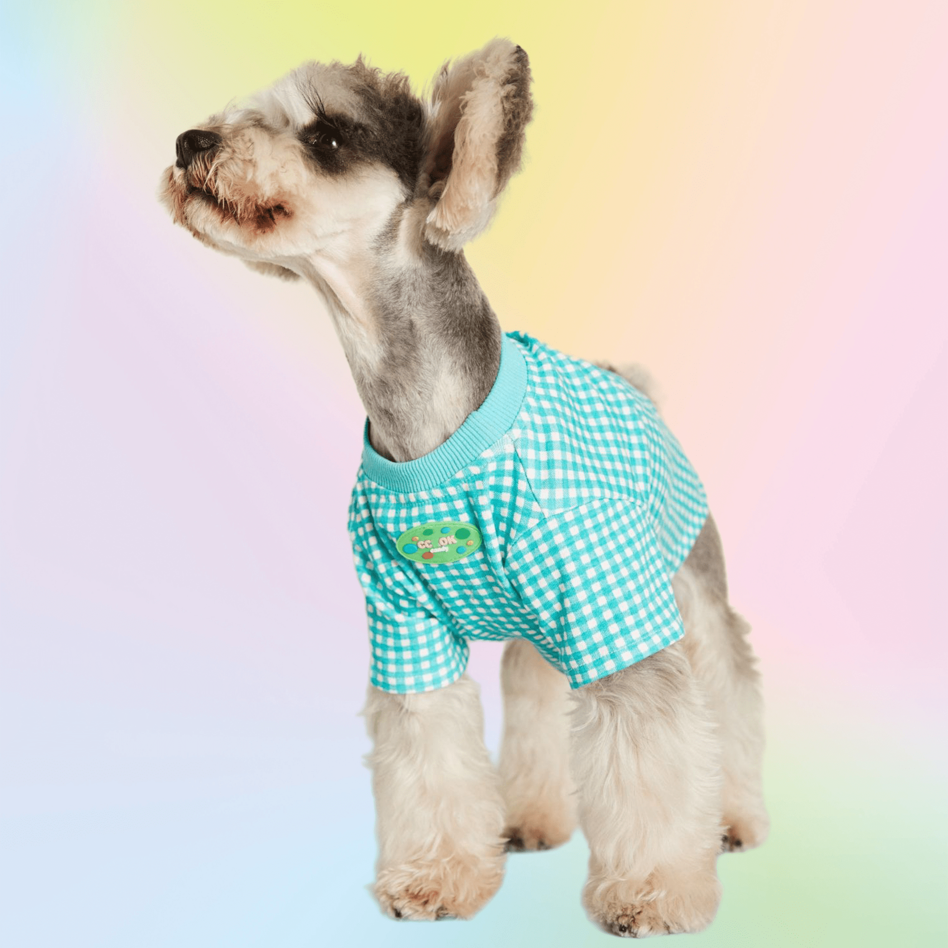 Macaron Plaid Pup Tee - Annie Paw WearSummer OutwearAnniePaw Wear