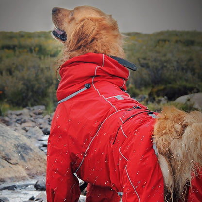 Manhattan Maverick Suit - Annie Paw WearOutdoor WearAnniePaw Wear