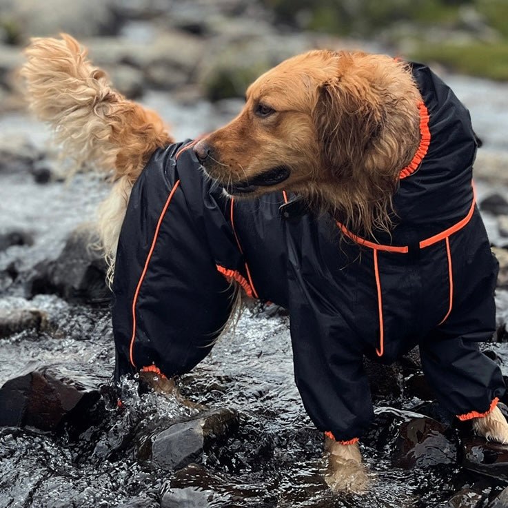 Manhattan Maverick Suit - Annie Paw WearOutdoor WearAnniePaw Wear