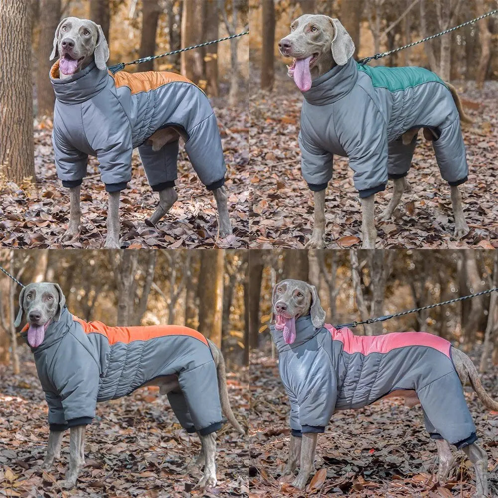 Waterproof dog 2024 coat with legs