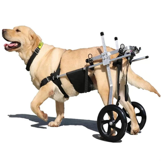 Medium Large Dogs Wheelchair : Hind Limb Lumbar Paralysis Rehabilitation Training Scooter Mobility Assistance - Annie Paw WearNursing & ReliefAnnie Paw Wear