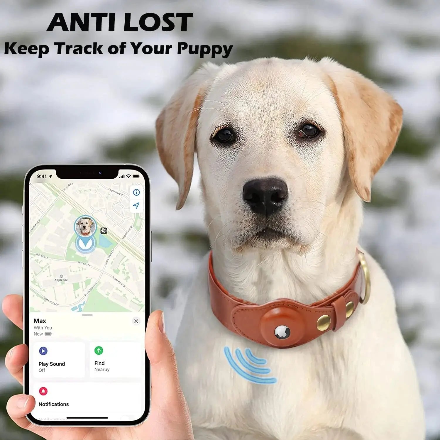 New Removable Locating Pet Collar AirTag Collar Anti-Lost Dog Tracker Protective Case Dog Collar Outdoors Walking Pet Supplies - Annie Paw WearCollar & LeashAnniePaw Wear