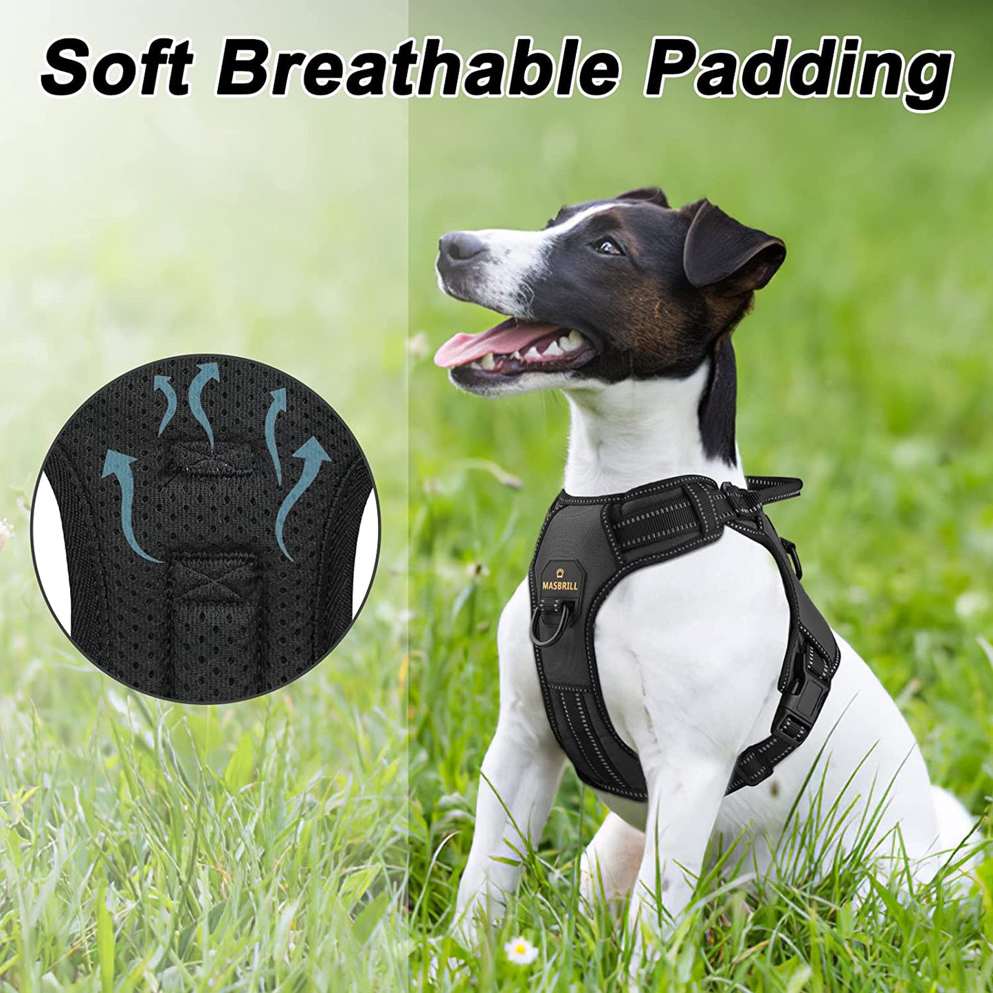 No Pull Dog Harness: Breathable Reflective for Outdoor Training Small to Large Dogs - Annie Paw WearCollar & LeashAnniePaw Wear