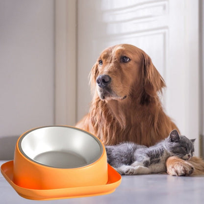 Non-Skid Cat Food Bowl Tilted Angle No-Spill Cat Food Bowl Dog Cat Food Bowl - Annie Paw WearHome Dog AccessoriesAnniePaw Wear