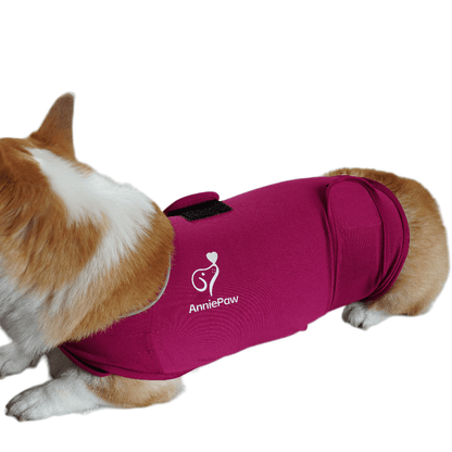 Nurture Anti-anxiety Stress Wrap: Calming Embrace Thunder Shirts for Dogs Cats - Annie Paw WearNursing & ReliefAnniePaw Wear