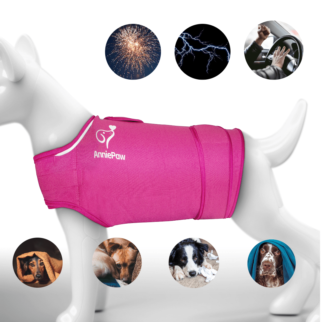 Nurture Anti-anxiety Stress Wrap: Calming Embrace Thunder Shirts for Dogs Cats - Annie Paw WearNursing & ReliefAnniePaw Wear