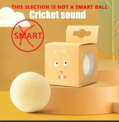 Pet Automatic Rolling Cat Toy Training Self-propelled Kitten Toy Indoor Interactive Play Electric Smart Cat Ball Toy Supplies - Annie Paw WeartoyAnnie Paw Wear