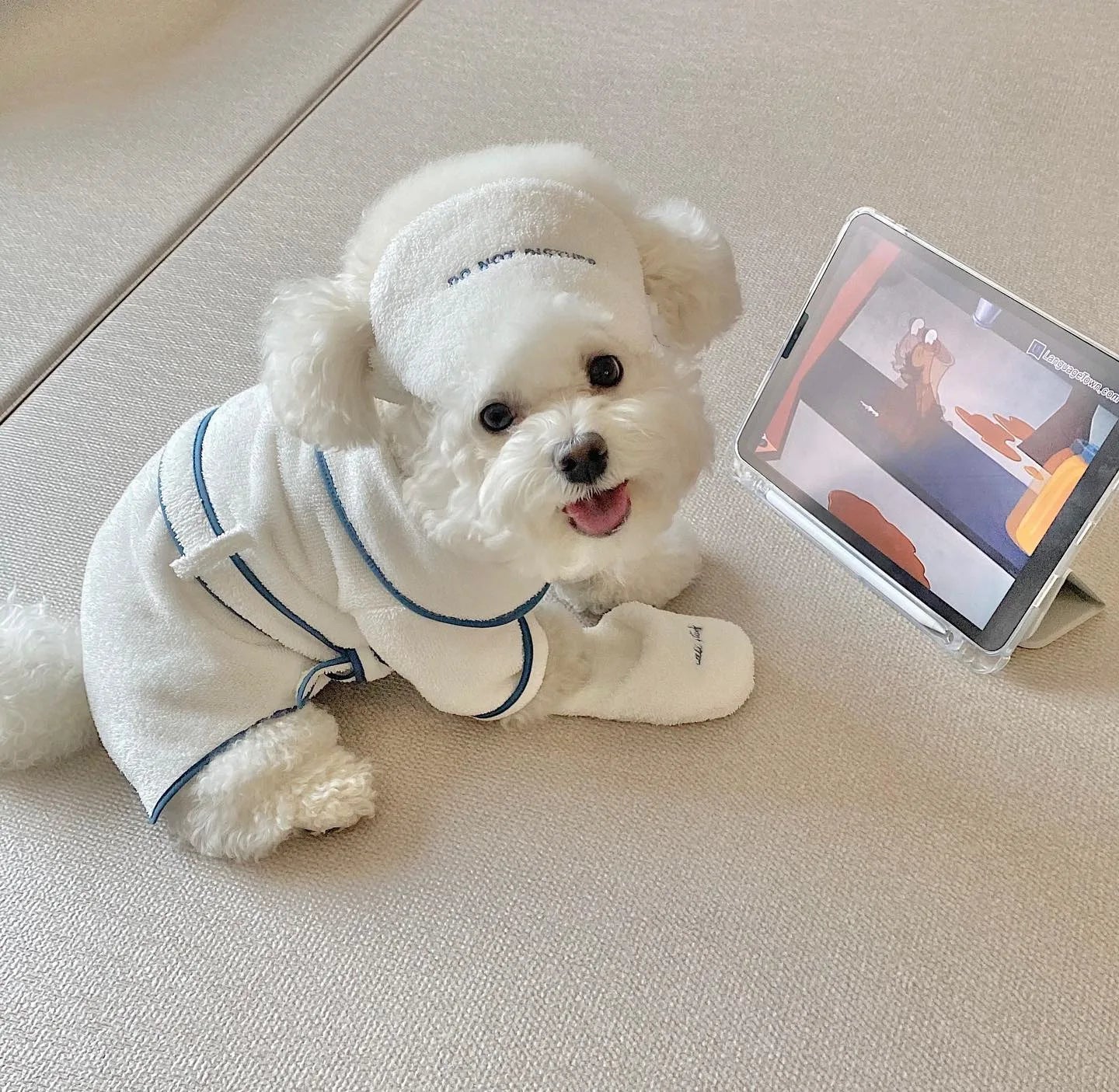 Pet Bathrob Dog Pajamas Sleeping Clothes Soft Pet Bath Drying Towel Dog Robe Warm Pajamas for Puppy Dogs Shower Clothes - Annie Paw WearHome Dog WearAnnie Paw Wear