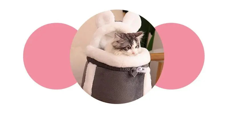 Kitten 2024 travel cage