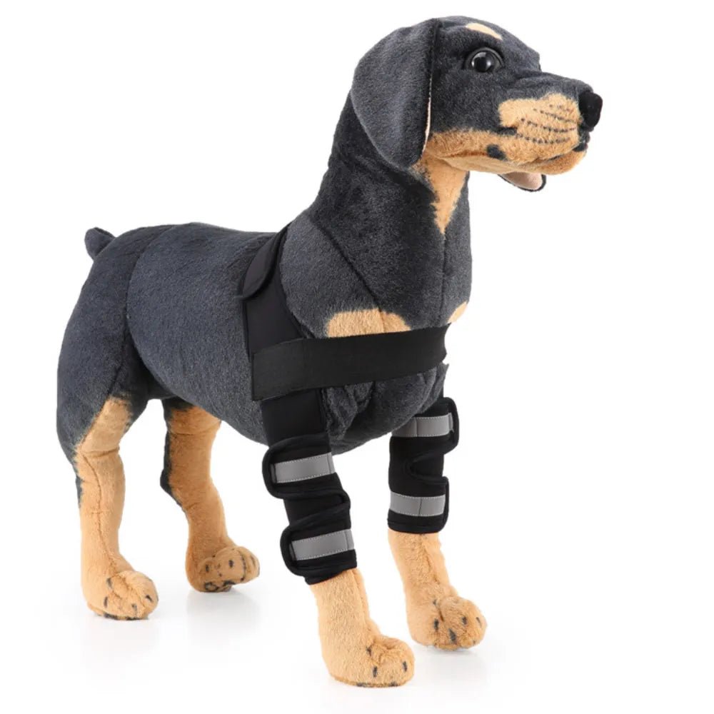 AnniePaw Adjustable Dog Knee Brace for Hock Recovery Bandage Wrap