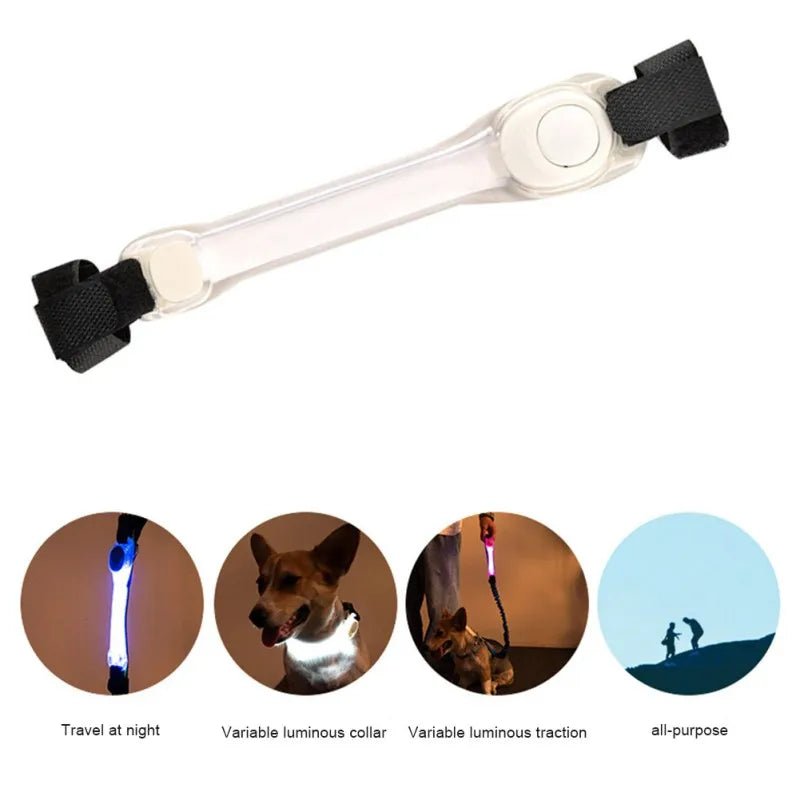 Anniepaw  Multi-function Traction Rope Luminous Collar Strap Button Batteries LED Dog Collar For Anti-Lost/Avoid Car Accident