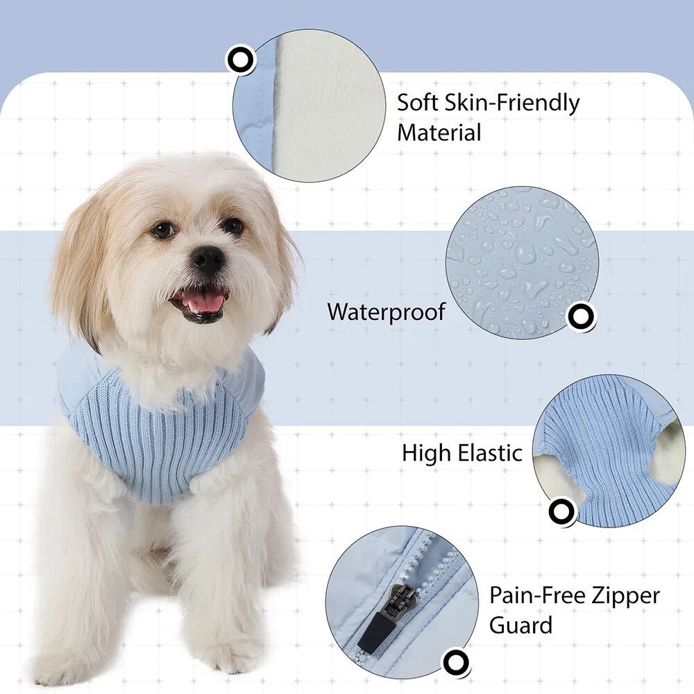 Anniepaw Polar Pup Panache: Lavish Blue-Purple Warmth for Tiny Tails