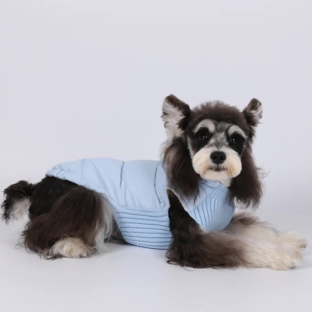 Anniepaw Polar Pup Panache: Lavish Blue-Purple Warmth for Tiny Tails