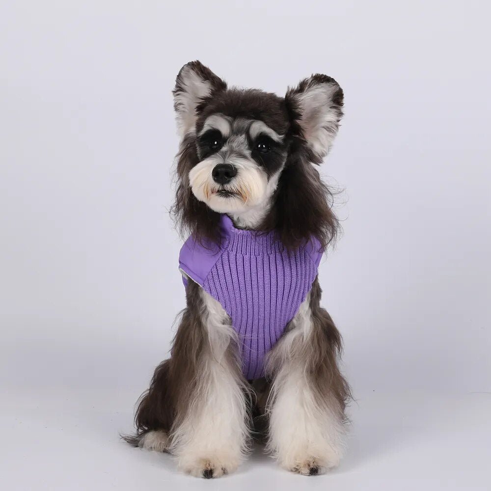 Anniepaw Polar Pup Panache: Lavish Blue-Purple Warmth for Tiny Tails