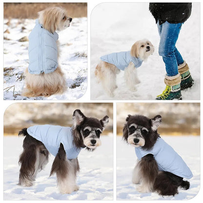 Anniepaw Polar Pup Panache: Lavish Blue-Purple Warmth for Tiny Tails