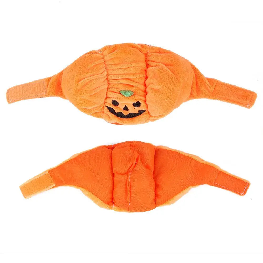 Anniepaw Pumpkin Halloween Pet Hat: Funny Cat & Dog Cosplay Cap for Festive Decoration AnniePaw Wear