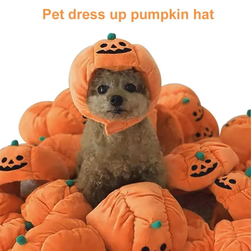 Anniepaw Pumpkin Halloween Pet Hat: Funny Cat & Dog Cosplay Cap for Festive Decoration AnniePaw Wear