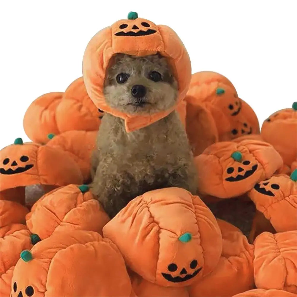 Anniepaw Pumpkin Halloween Pet Hat: Funny Cat & Dog Cosplay Cap for Festive Decoration AnniePaw Wear