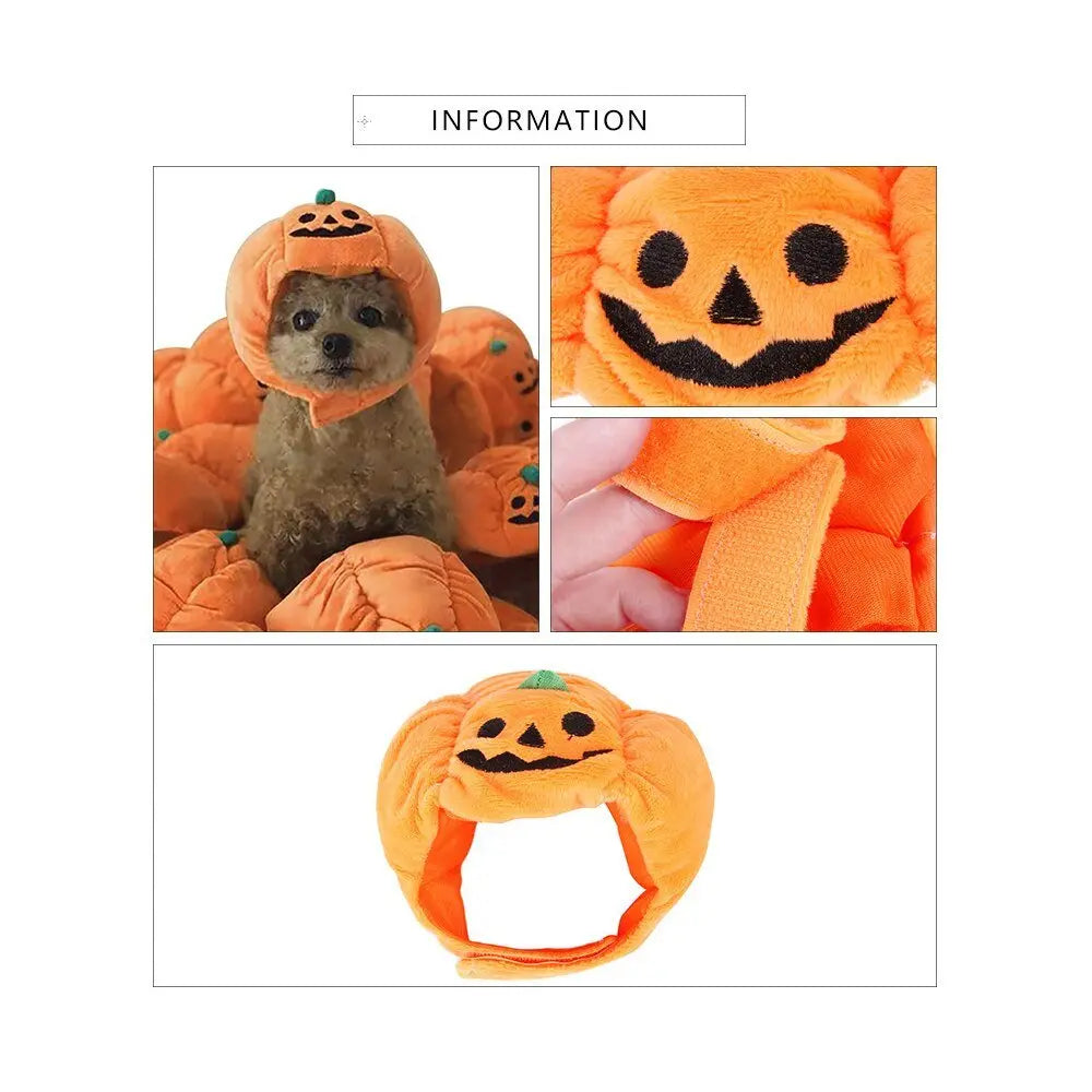 Anniepaw Pumpkin Halloween Pet Hat: Funny Cat & Dog Cosplay Cap for Festive Decoration AnniePaw Wear