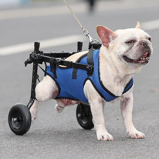 AnniePaw Dog Wheelchair for Hind Legs - Mobility Support for Small & Medium Dogs AnniePaw Wear