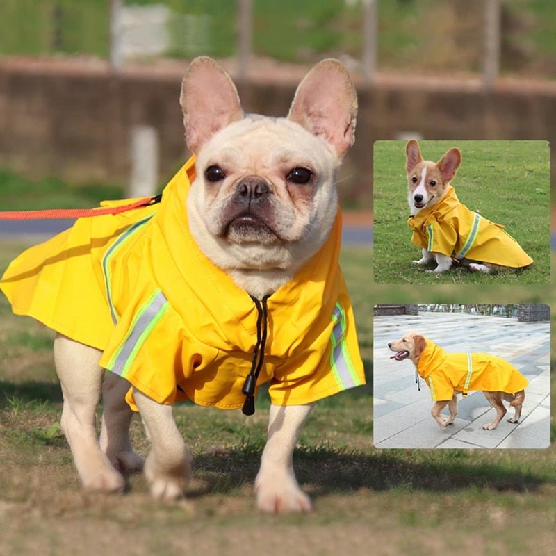 Anniepaw S-5XL Winter Dog Raincoat: Waterproof Overalls