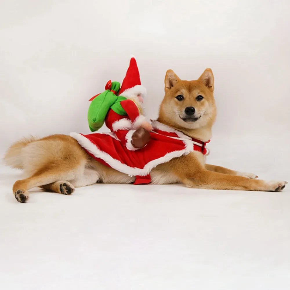 Santa Claus Riding Dog Costume: Christmas & Halloween Pet Outfit - Annie Paw WearcostumesAnniePaw Wear