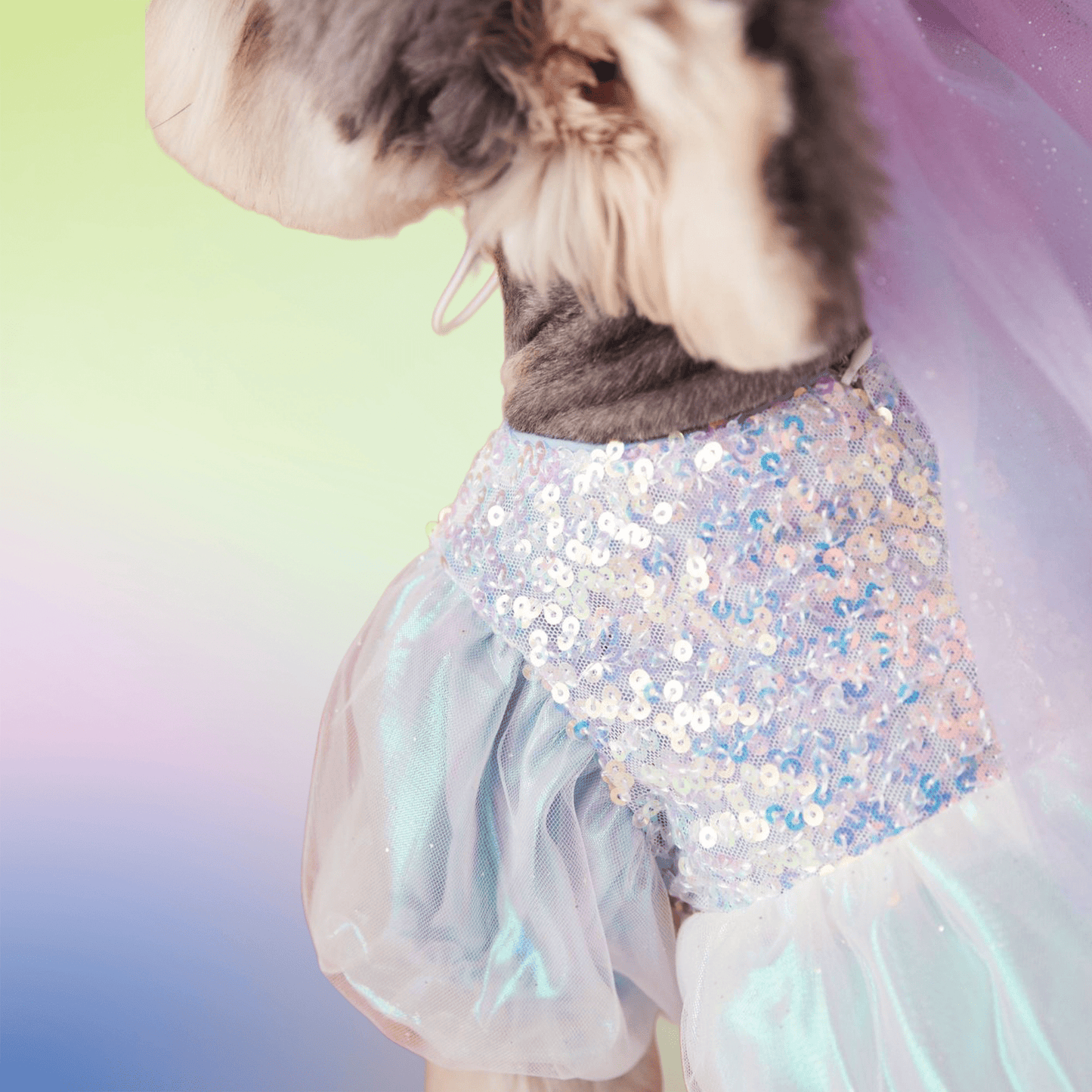 Anniepaw Sequined Azure Elegance Ball Gown