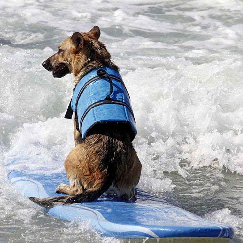 Shark Dog Life Vest: Summer Swimwear Jacket for Small, Medium, and Large Dogs - Annie Paw WearOutdoor WearAnniePaw Wear