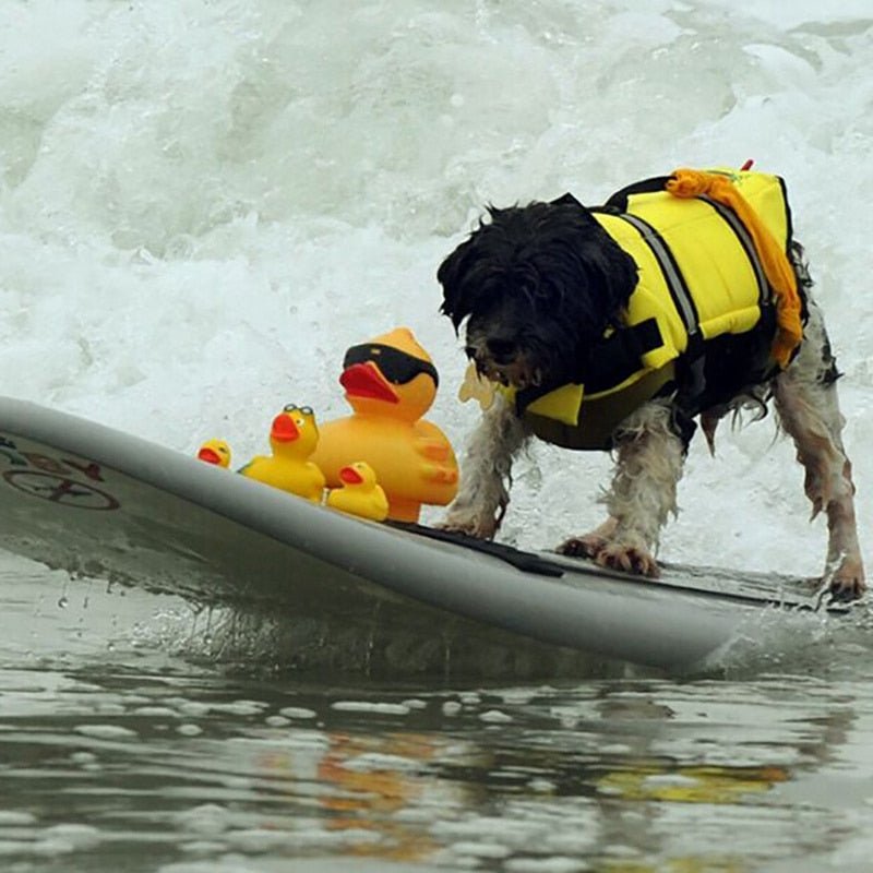 Shark Dog Life Vest: Summer Swimwear Jacket for Small, Medium, and Large Dogs - Annie Paw WearOutdoor WearAnniePaw Wear