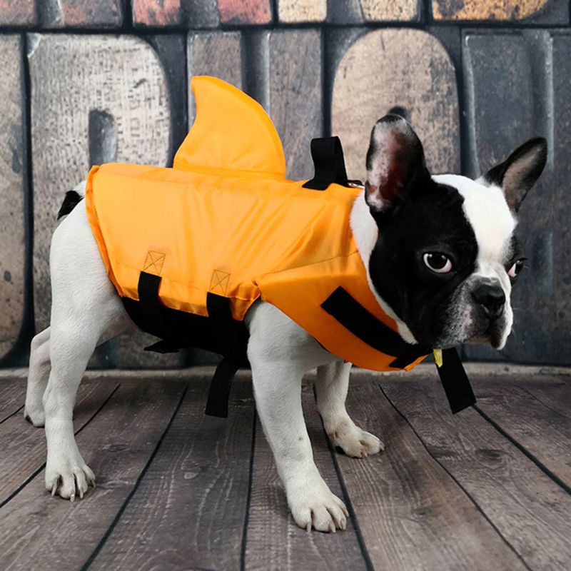 Shark Dog Life Vest: Summer Swimwear Jacket for Small, Medium, and Large Dogs - Annie Paw WearOutdoor WearAnniePaw Wear