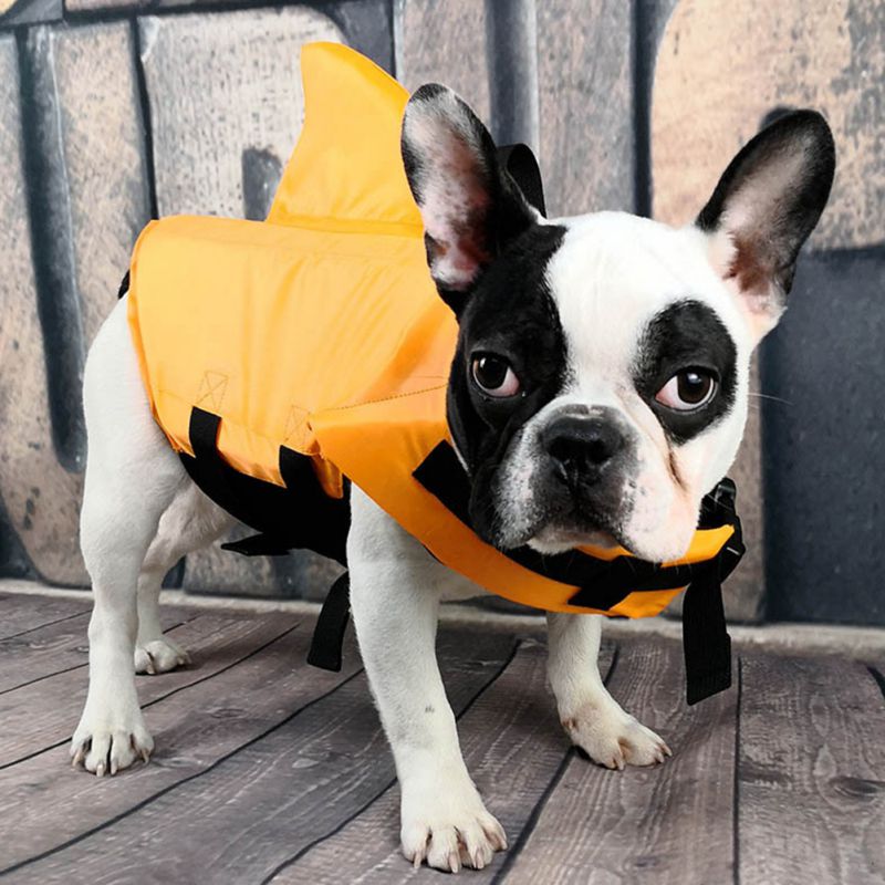 Shark Dog Life Vest: Summer Swimwear Jacket for Small, Medium, and Large Dogs - Annie Paw WearOutdoor WearAnniePaw Wear