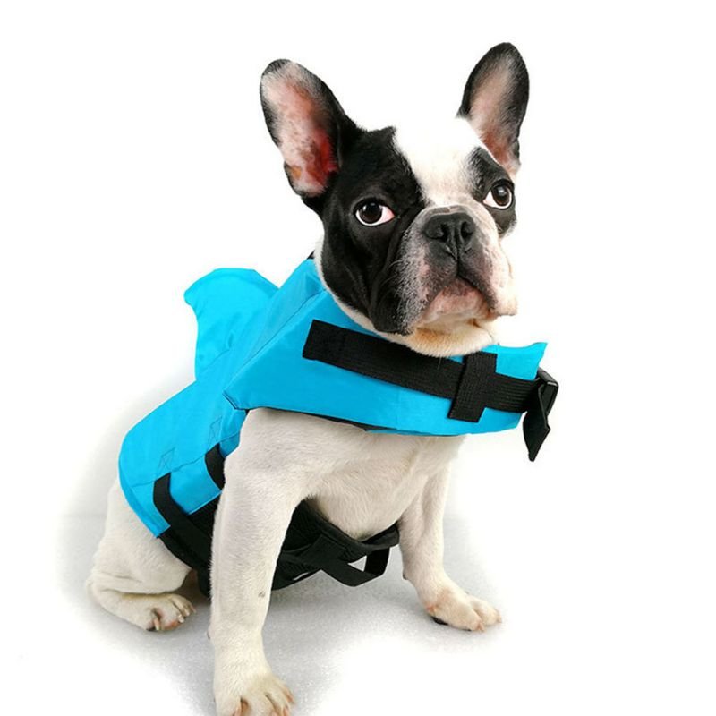 Shark Dog Life Vest: Summer Swimwear Jacket for Small, Medium, and Large Dogs - Annie Paw WearOutdoor WearAnniePaw Wear