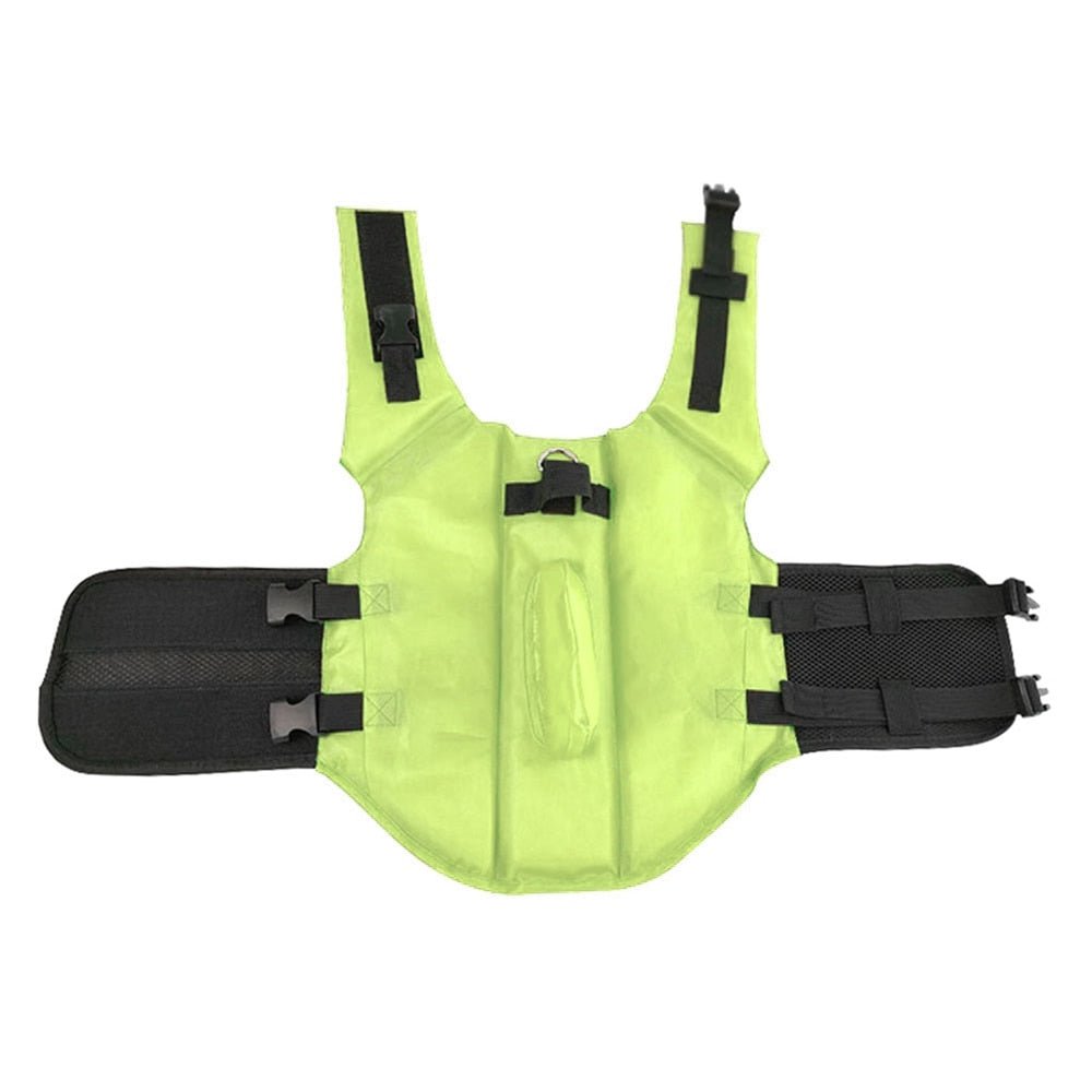 Summer Shark Dog Life Vest Safety Swimwear for Small to Large Dogs - Annie Paw WearOutdoor WearAnniePaw Wear