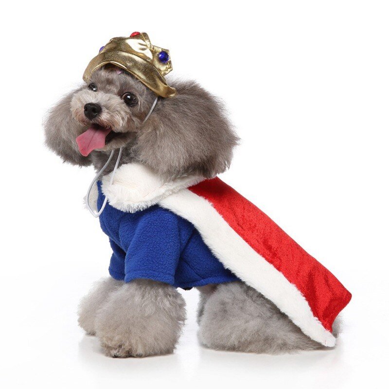 Teddy Halloween Cosplay King Costumes Pets Funny Outfits Set Dogs Halloween - Annie Paw WearcostumesAnniePaw Wear