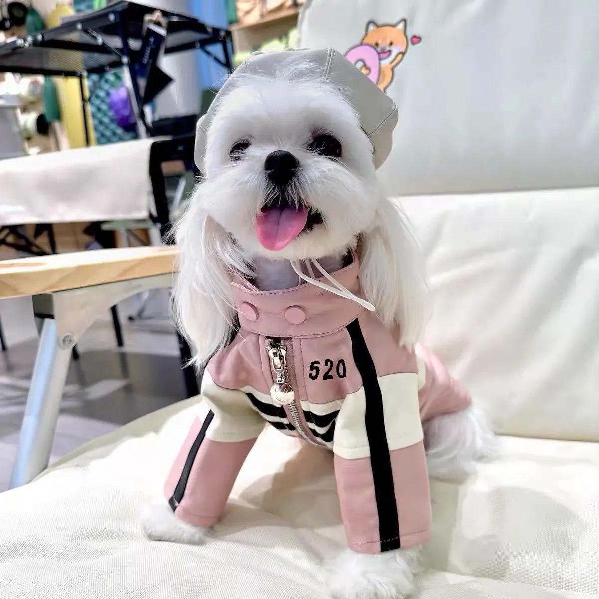 Waterproof Leather Dog Biker Jacket Winter Puppy Costume with Fur Warm Clothing Pet Chihuahua Yorkshire French Bulldog Clothes - Annie Paw WearWinter OutwearAnnie Paw Wear