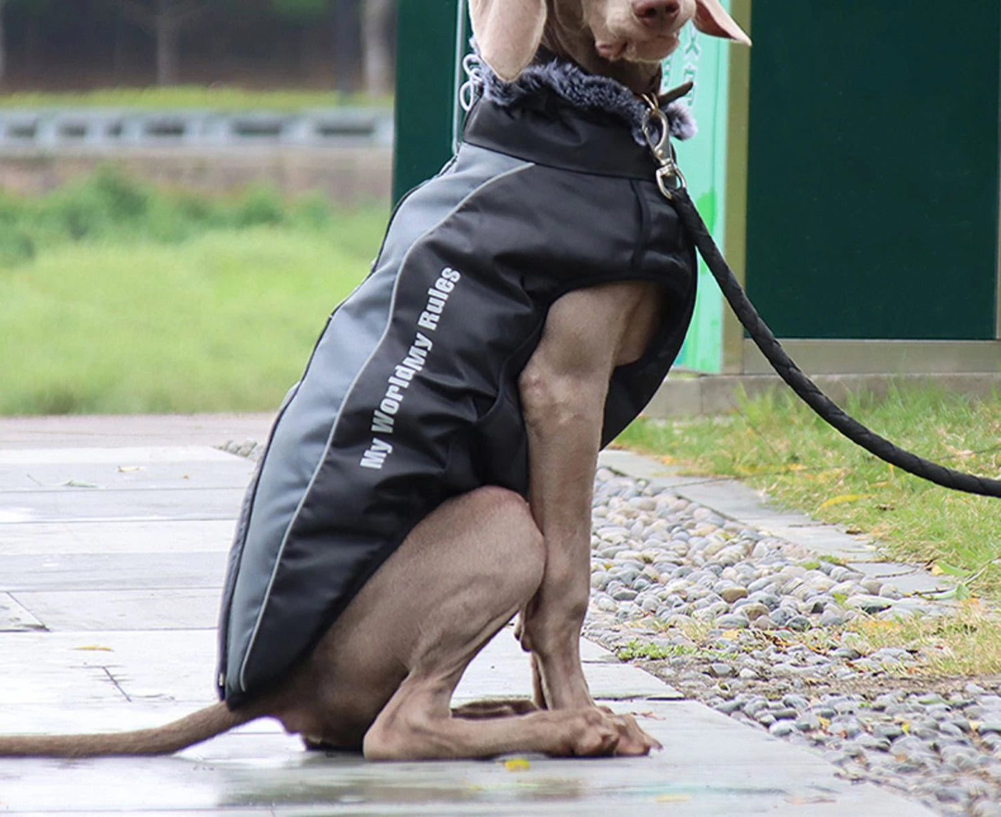 Waterproof Winter Dog Suit with Integrated Harness: Reflective, Windproof Coat for Large Dogs - Annie Paw WearWinter OutwearAnniePaw Wear