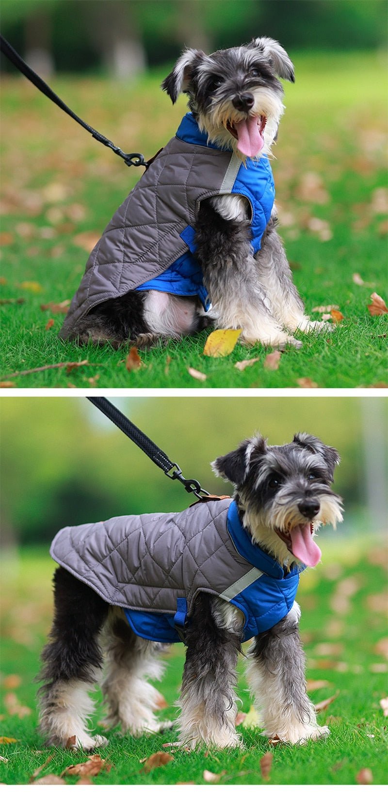 Waterproof Winter Dog Vest Jacket for Small to Large Dogs Warm Padded Coat for French Bulldog - Annie Paw WearWinter OutwearAnniePaw Wear