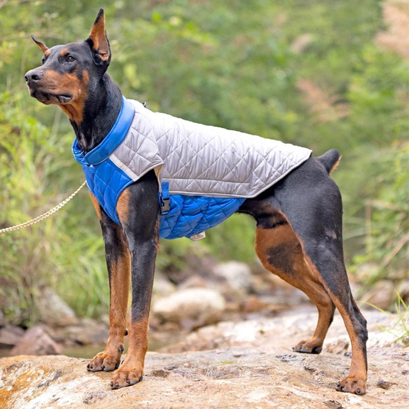 Waterproof Winter Dog Vest Jacket for Small to Large Dogs Warm Padded Coat for French Bulldog - Annie Paw WearWinter OutwearAnniePaw Wear