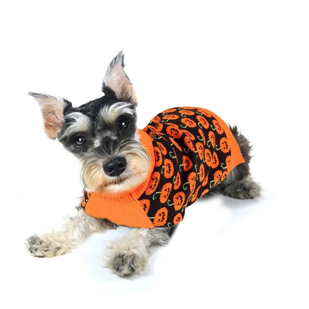 Winter Christmas Knitted Sweater with Halloween Pumpkin for Small to Medium Dogs Cats Puppy Jacket - Annie Paw WearWinter OutwearAnniePaw Wear