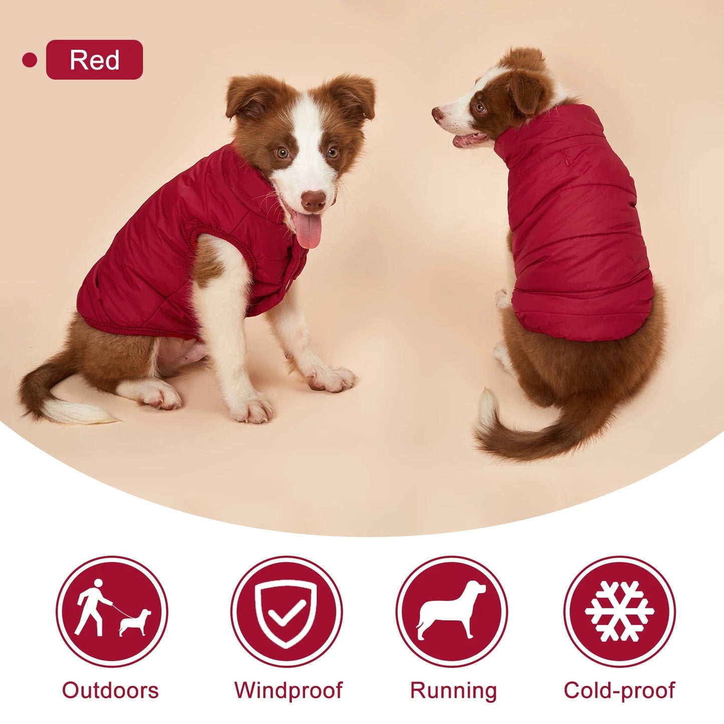 Winter Dog Clothes Outdoor Cold Proof Warm Dog Jacket with Fleece Cotton Lining Chihuahua French Bulldog Puppy Clothing Coat - Annie Paw WearWinter OutwearAnnie Paw Wear