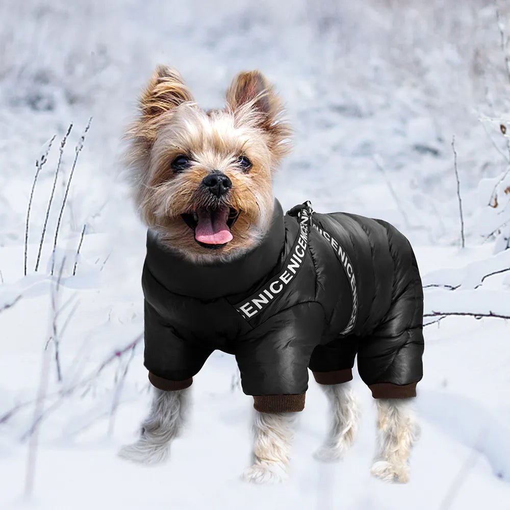 winter dog dress CICRKHB Dog Clothes Dog Winter Coat Small Medium Large Dogs Snow Jacket Waterproof French Clothes Warm Windproof Puppy Snowsuit Outfit Cold Weather Pet Fleece Apparel Pet Supplies Blue