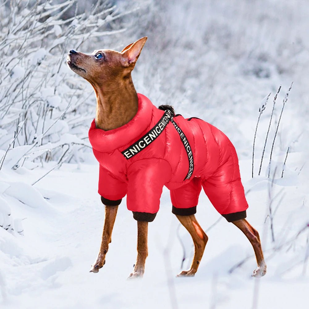 winter dog dresses Pink Tulle Dress for Dogs | Elegant Princess Style