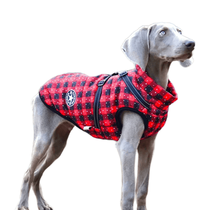 Winter Pet Dog Jacket with Harness Warm Dog Clothes for Small Medium Dogs Coats - Annie Paw WearWinter OutwearAnniePaw Wear