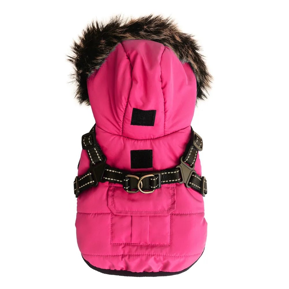 Winter Pet Dog Jacket with Harness Warm Dog Clothes for Small Medium Dogs Coats - Annie Paw WearWinter OutwearAnniePaw Wear