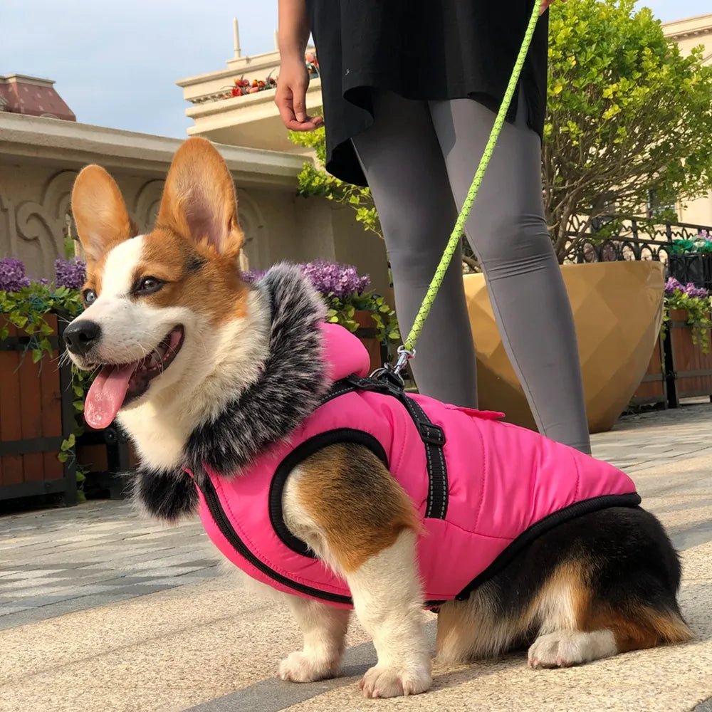 Winter Pet Dog Jacket with Harness Warm Dog Clothes for Small Medium Dogs Coats - Annie Paw WearWinter OutwearAnniePaw Wear