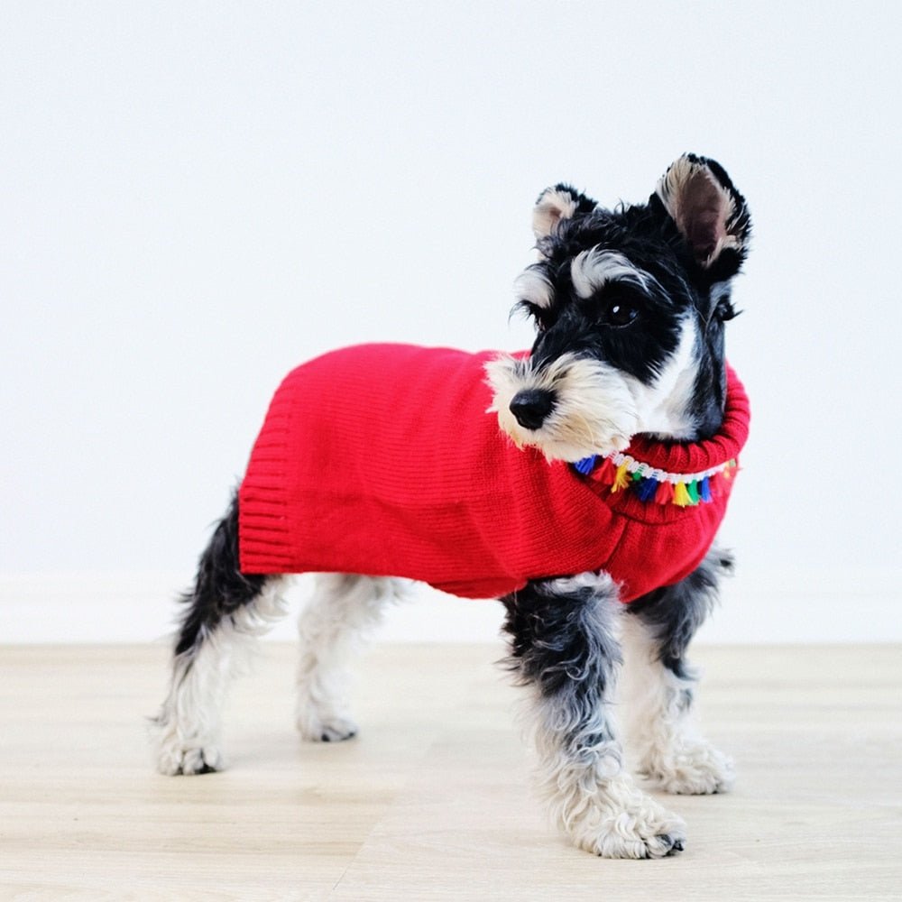 Winter Turtleneck Sweater for Small Dogs Cats Chihuahua Soft Knitted Pet Costumes - Annie Paw WearWinter OutwearAnniePaw Wear