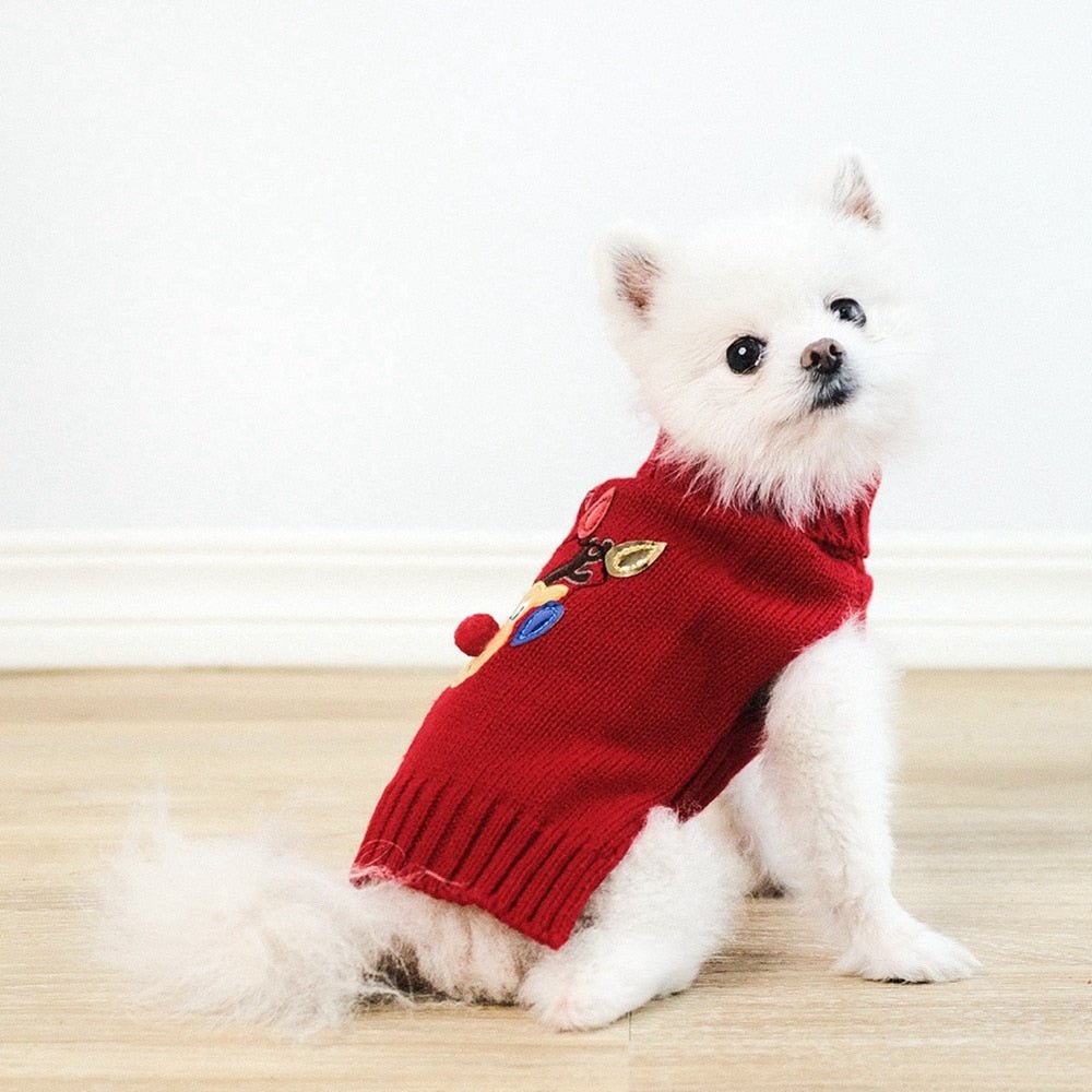 Winter Turtleneck Sweater for Small Dogs Cats Chihuahua Soft Knitted Pet Costumes - Annie Paw WearWinter OutwearAnniePaw Wear