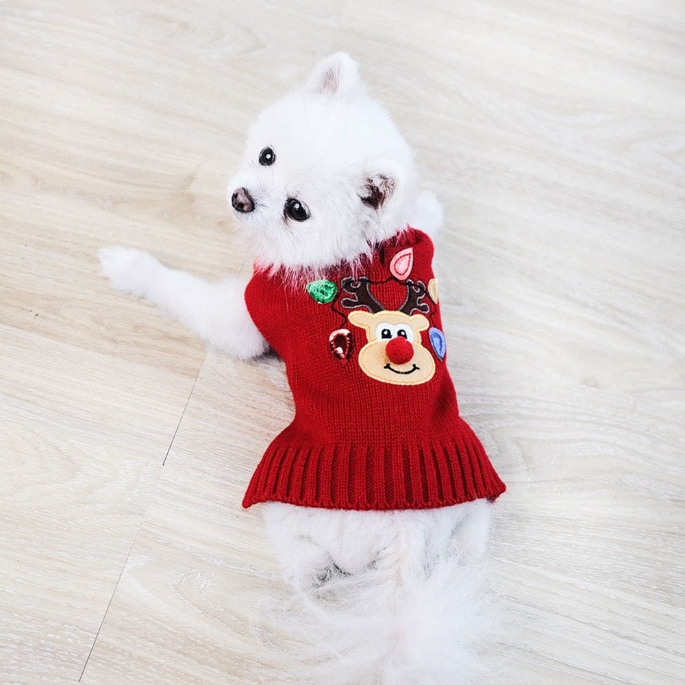 Winter Turtleneck Sweater for Small Dogs Cats Chihuahua Soft Knitted Pet Costumes - Annie Paw WearWinter OutwearAnniePaw Wear