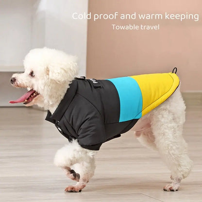 Winter Windproof Dog Down Jacket Color-Blocked Warm Coat for Small Dogs Chihuahua Clothing - Annie Paw WearWinter OutwearAnniePaw Wear
